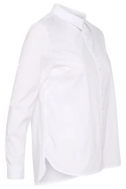 Part Two IC Comp. - BIMINI SHIRT